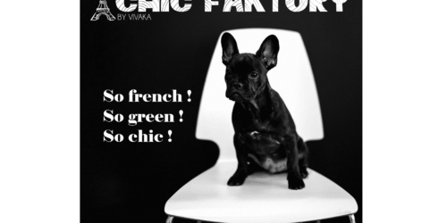 880452669_CHIC-FAKTORY_Image