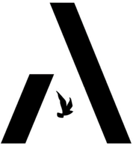 911350940_Acionnys_Logo