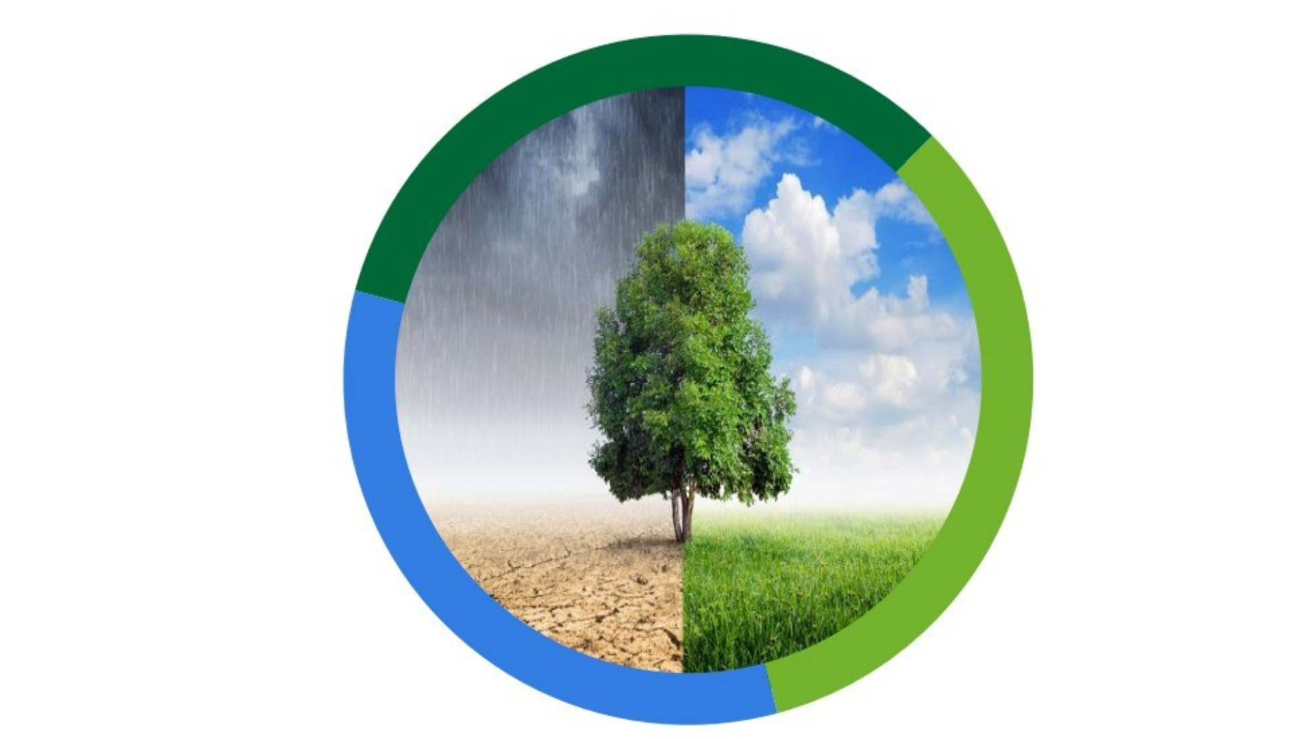 Bleu-et-Noir-Graphique-de-comparaison-Presentation