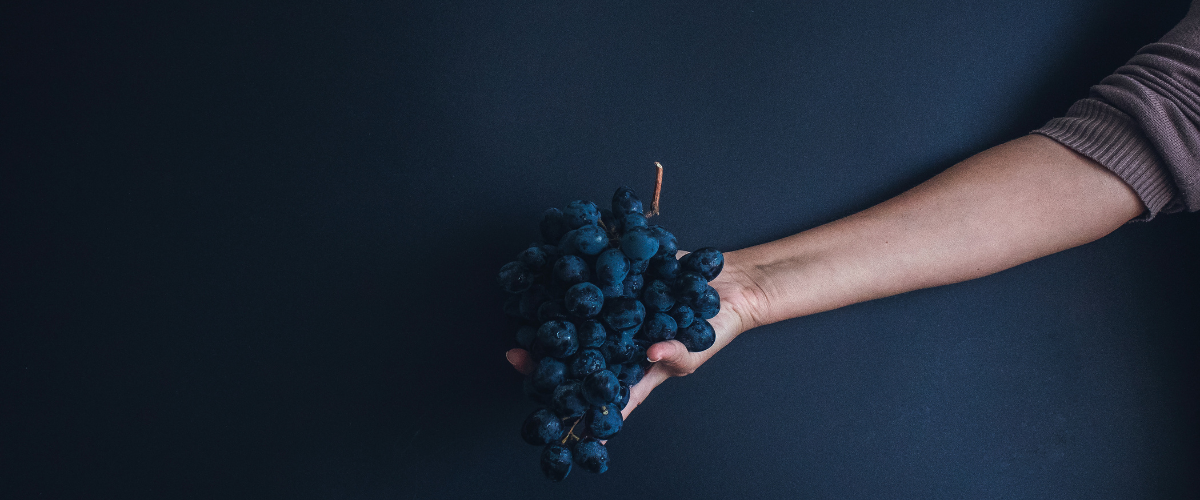 PepiteRaisin_Image_Observatoire_Societe_a_Mission