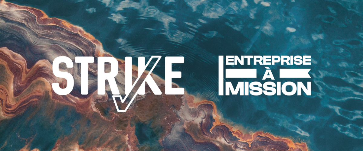 STRIKE_Image_Observatoire_Societe_a_Mission
