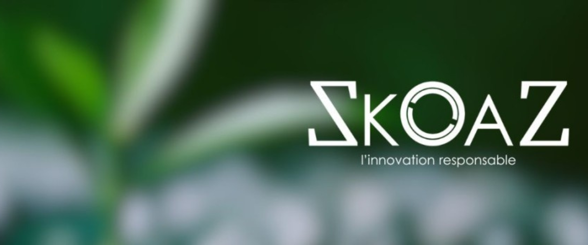 skoaz_Image_Observatoire_Societe_a_Mission